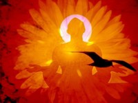 Image d'un méditant en posture du lotus